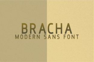 Bracha: A Modern Sans Serif with Timeless Grace