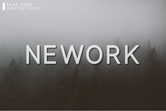 Nework Font: Modern Sans Serif for Web Design