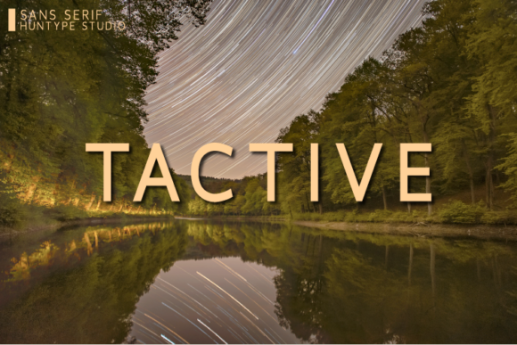 Tactive: A Professional Font for Business