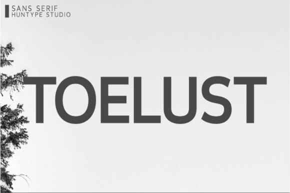 Toelust: A Stylish Sans Serif Font for Crafters