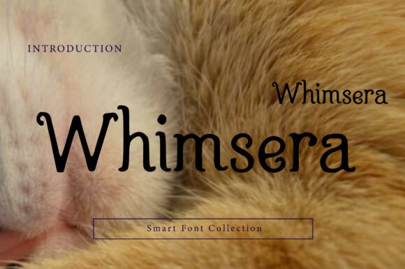 Whimsera: A Whimsical Serif Font for Web Design